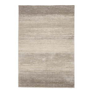 Sivý/béžový koberec 160x230 cm Geneva – Think Rugs