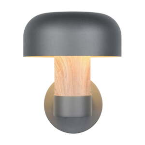 Nástenné vonkajšie svietidlo (výška  24,5 cm) Fraser – Trio